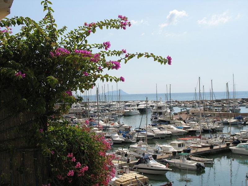 La Casa Degli Artisti 1 Hotel Nettuno Luaran gambar